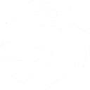 Phoenix-opleidingen-logo.png