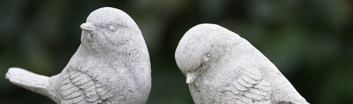 Erkenning en ervaring